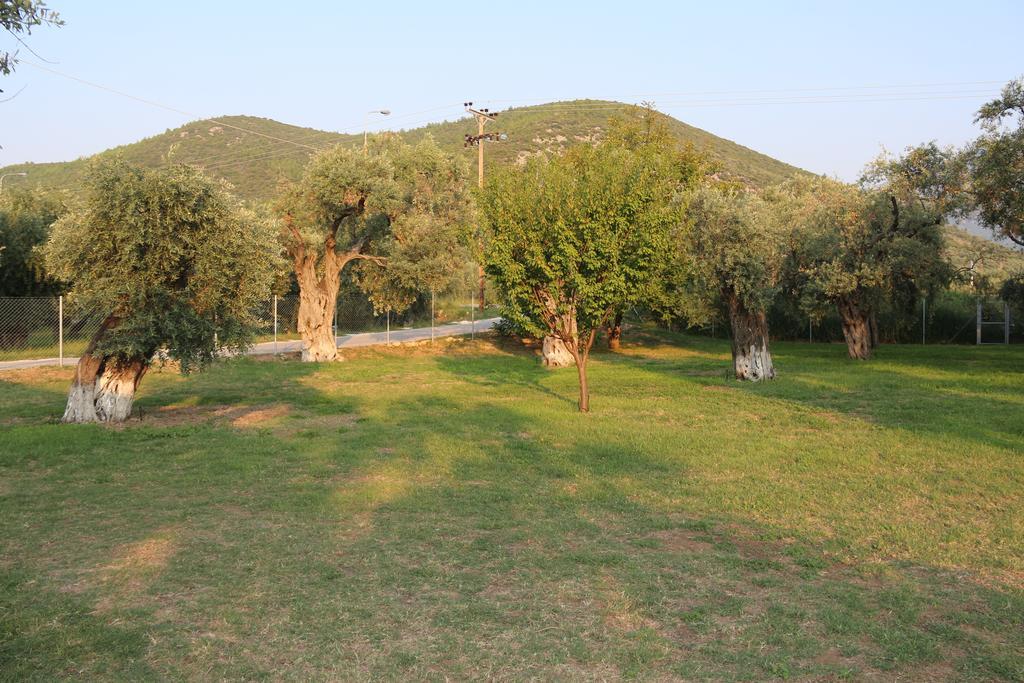Patroudis House Apartment Skala Rachoni  Exterior photo
