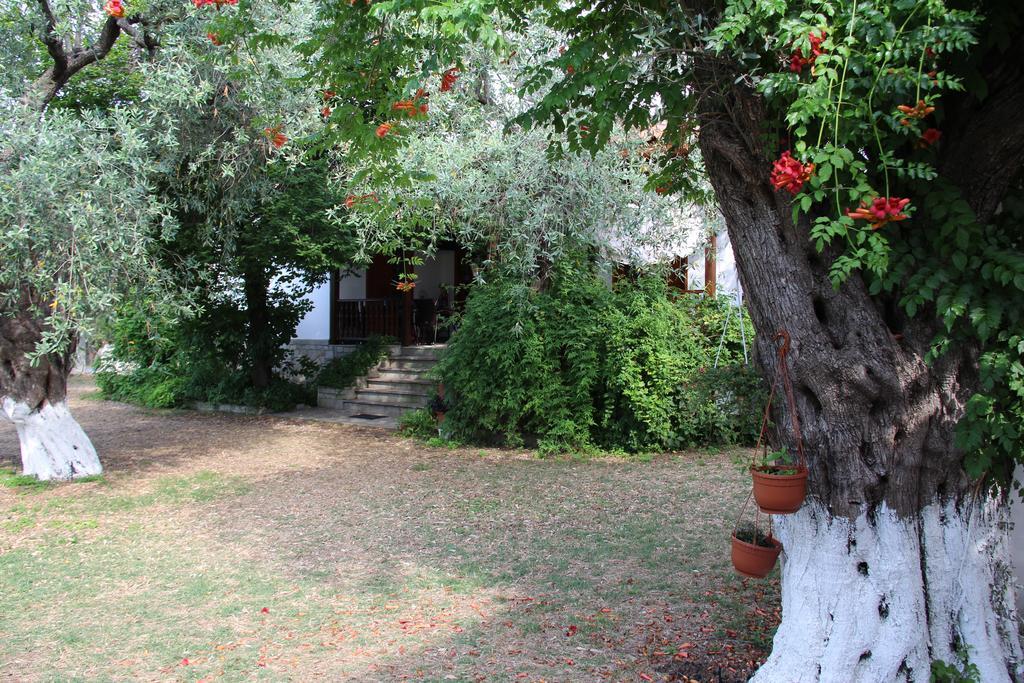 Patroudis House Apartment Skala Rachoni  Room photo